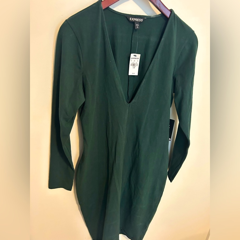 Express Body Con Deep V Dress